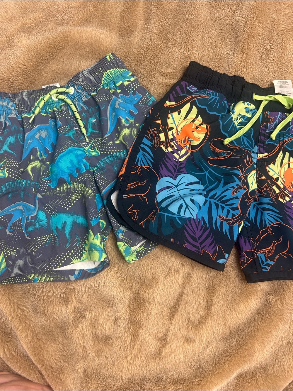 Boys' Dino Print Swim Shorts - 💥
